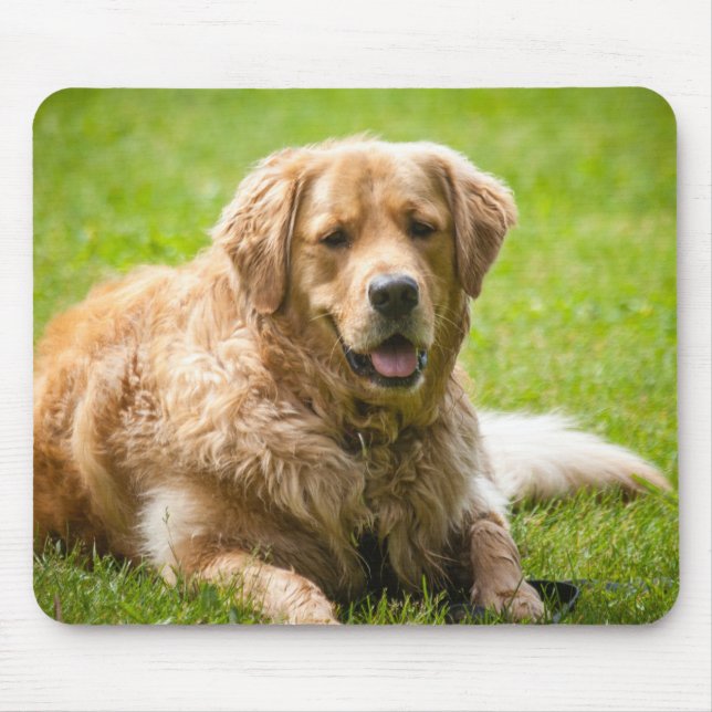 Mousepad Cachorro do ouro (Frente)