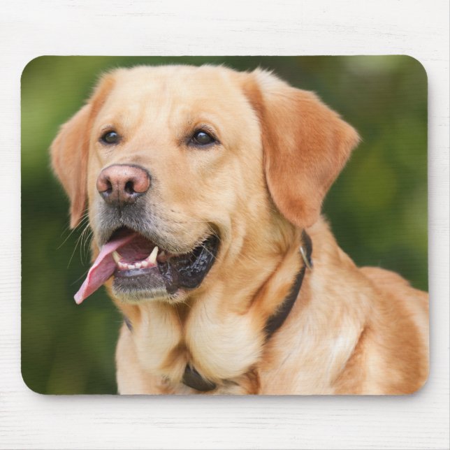 Mousepad Cachorro do Retriever Labrador Amarelo - Laboratór (Frente)