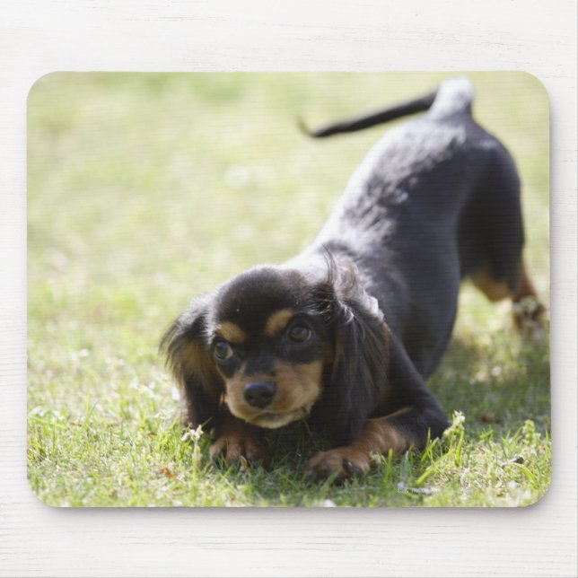 Mousepad Cachorro-escudeiro (preto) 2 (Frente)