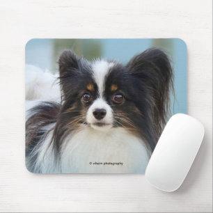 Mousepad Cachorro Espanhol de Papillon Bonito na Boca