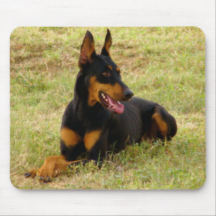 Mousepad Cachorro Filhote Doberman Pinscher