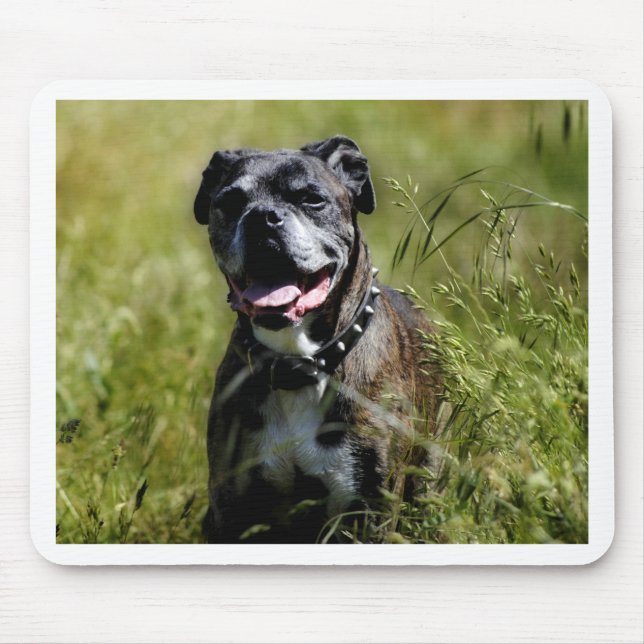Mousepad Cachorro fofo na grama (Frente)