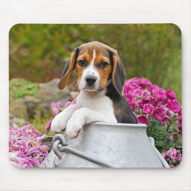 Mousepad Cachorro Gelado Cachorro Cachorro Cachorro Pupido  (Frente)