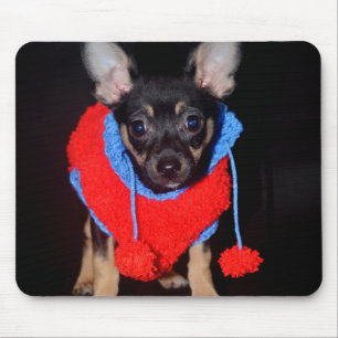 Mousepad Cachorro giro no doce de lã vermelha
