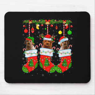 Mousepad Cachorro Goldendoodle em Meias de Natal Cachorro d