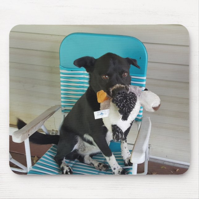 Mousepad Cachorro Incrível (Frente)