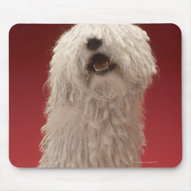 Mousepad Cachorro Komondor Cute (Frente)