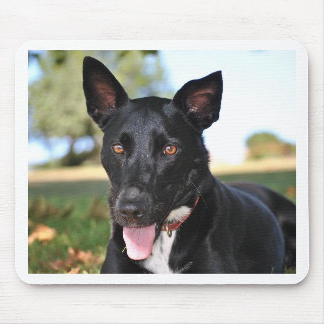Mousepad Cachorro lindo com olhos castanhos claros (Frente)