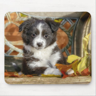Mousepad Cachorro Mini Aussie Shepherd Cachorro De Cor Biol
