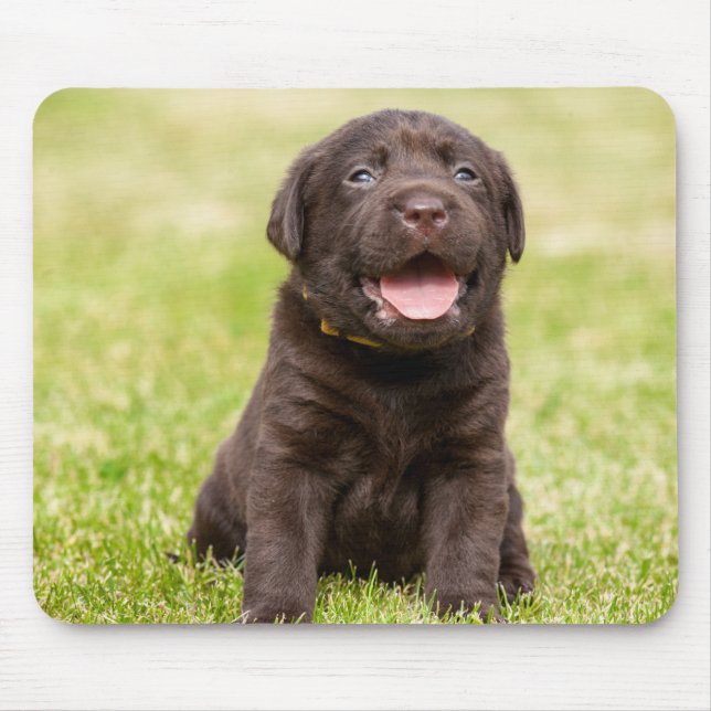 Mousepad Cachorro mole (Frente)