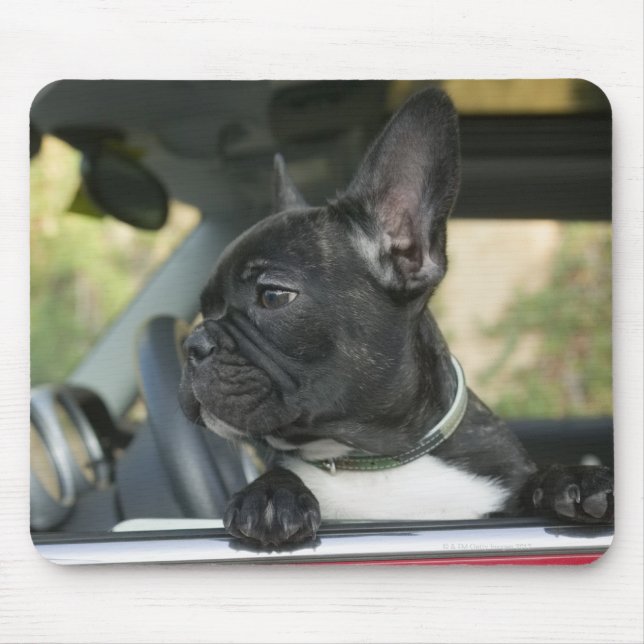 Mousepad Cachorro no carro (Frente)