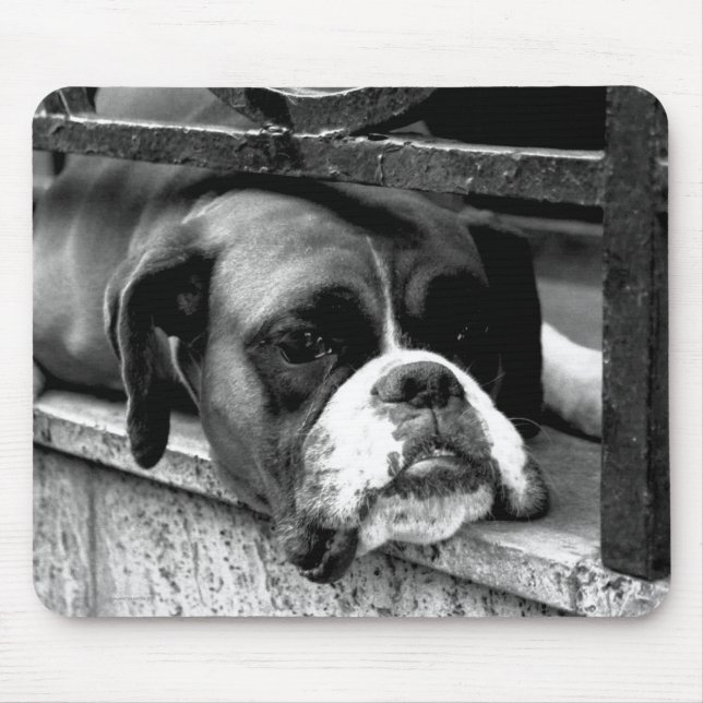Mousepad Cachorro No Windowsill mpcna (Frente)