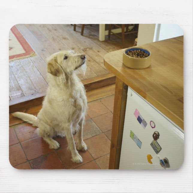 Mousepad Cachorro olhando a comida na mesa. (Frente)