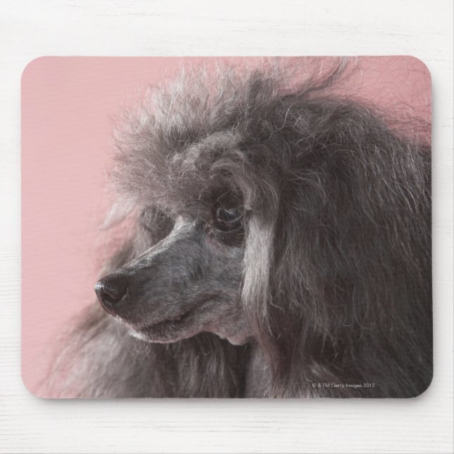 Mousepad Cachorro olhando para longe (Frente)