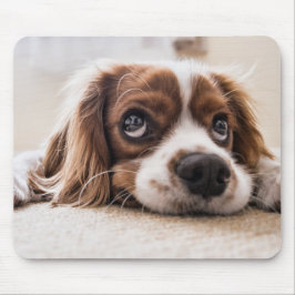 Mousepad Cachorro Panelado De Olhos Tristes