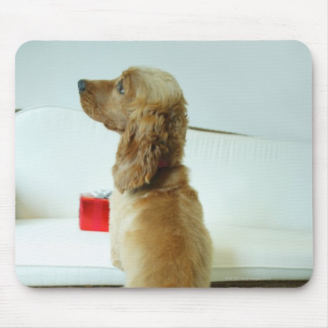 Mousepad Cachorro parado em um sofá com um presente (Frente)