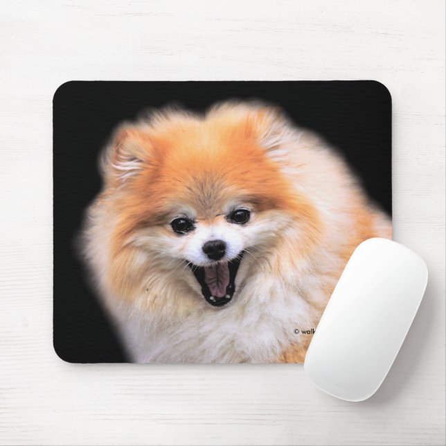 Mousepad Cachorro Pomerano Rindo Bastante (Com mouse)