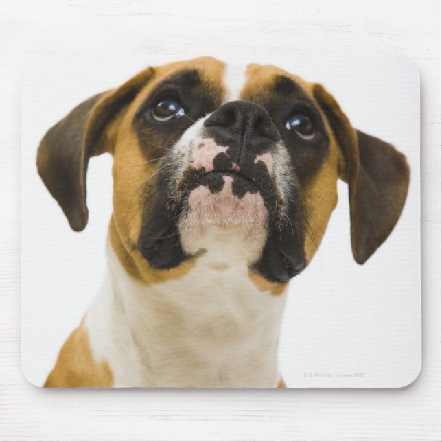 Mousepad Cachorro que olha (Frente)