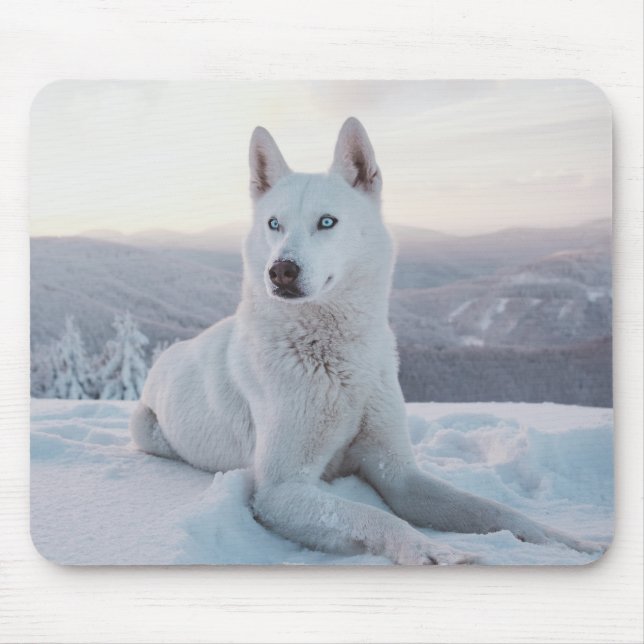 Mousepad Cachorro Rouco branco entortando na neve (Frente)