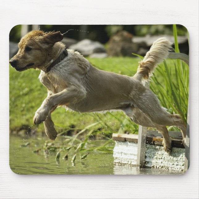 Mousepad Cachorro salta para o lago (Frente)