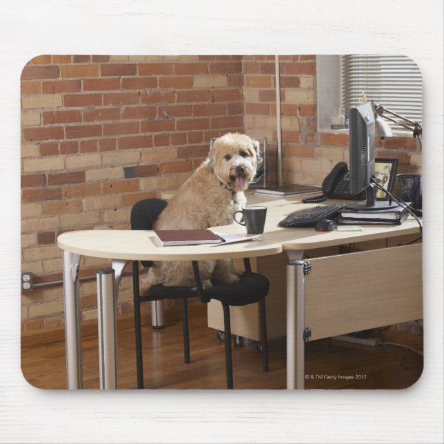 Mousepad Cachorro sentado na mesa (Frente)