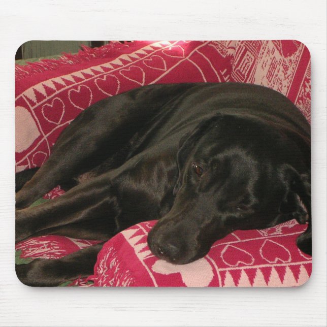 Mousepad Cachorro Sonolento (Frente)