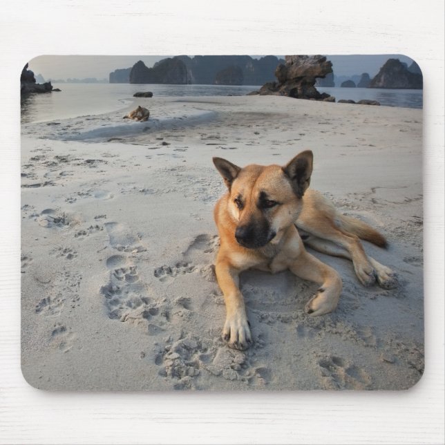 Mousepad Cachorro Tranquilo na Praia (Frente)