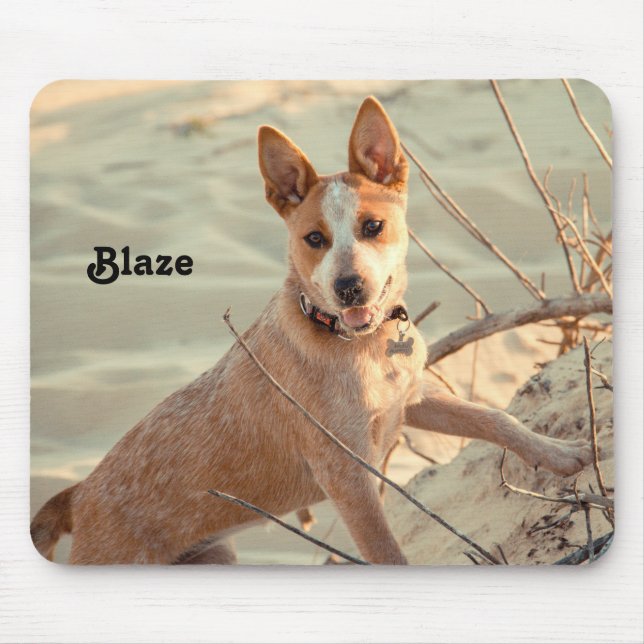Mousepad Cachorro Vermelho australiano - Heeler - na neve (Frente)