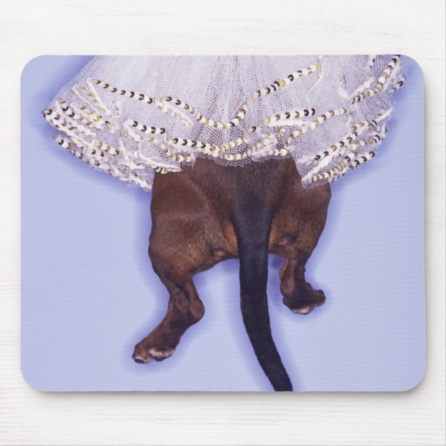 Mousepad Cachorro vestido (Frente)