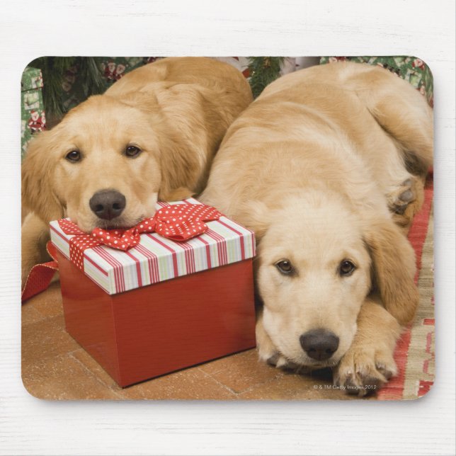 Mousepad cachorros de recuperação de ouros com presente de  (Frente)