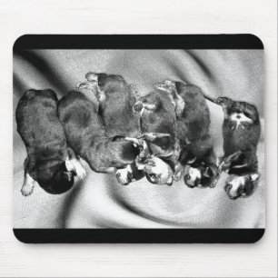 Mousepad cachorros-do-mar