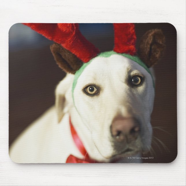 Mousepad Cachorros que vestem renas (Frente)