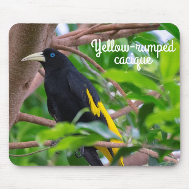 Mousepad Cacique de bote amarelo (Frente)