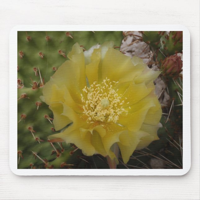 Mousepad Cacto Amarelo em Flor (Frente)