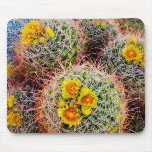 Mousepad Cacto barril de perto, Califórnia