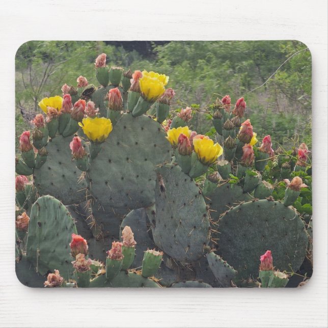Mousepad Cacto de Pêra Espinhosa (Frente)