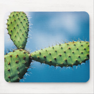 Mousepad Cacto de Prickley