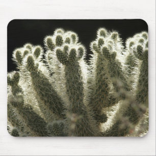 Mousepad Cacto do deserto