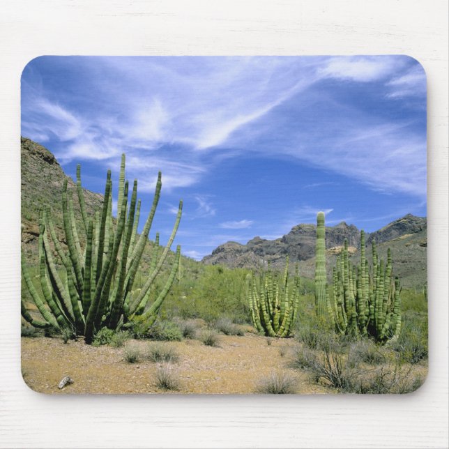 Mousepad Cacto do Deserto no Monumento Nacional do Organ Pi (Frente)