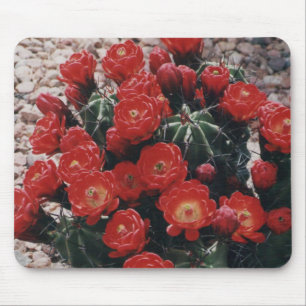 Mousepad cacto do ponche Claret