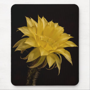 Mousepad Cacto flor amarela