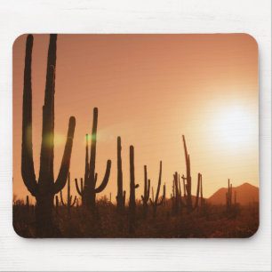 Mousepad Cacto no deserto