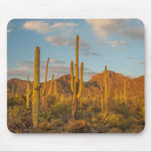 Mousepad Cacto saguaro ao pôr do sol, Arizona