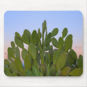 Mousepad Cactos e sisal na Floresta Seca