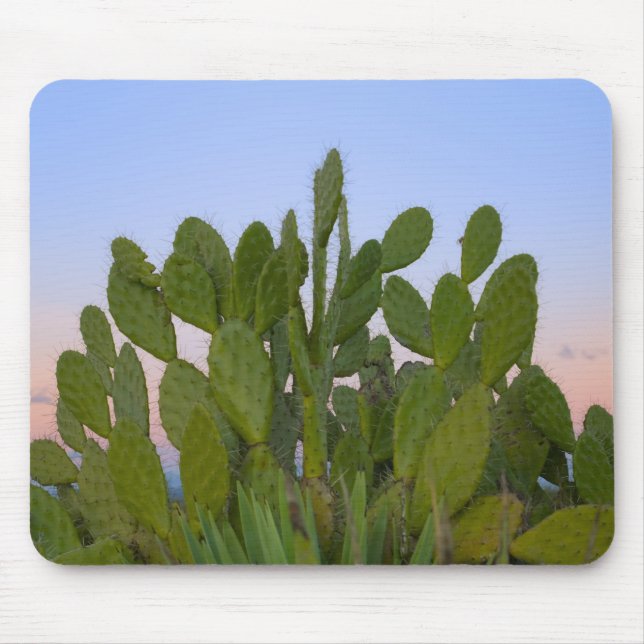 Mousepad Cactos e sisal na Floresta Seca (Frente)