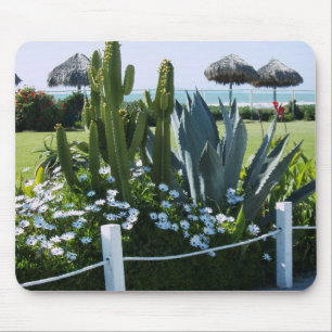 Mousepad Cactos mexicanos