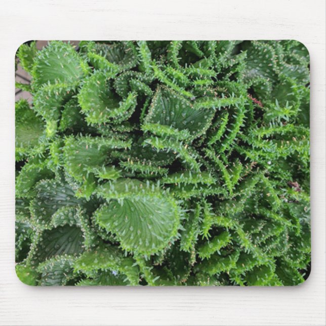 Mousepad Cactus (Frente)