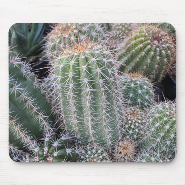 Mousepad Cactus (Frente)