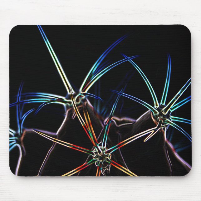 Mousepad Cactus 1 mpcna (Frente)