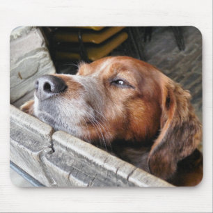 MOUSEPAD CÃES